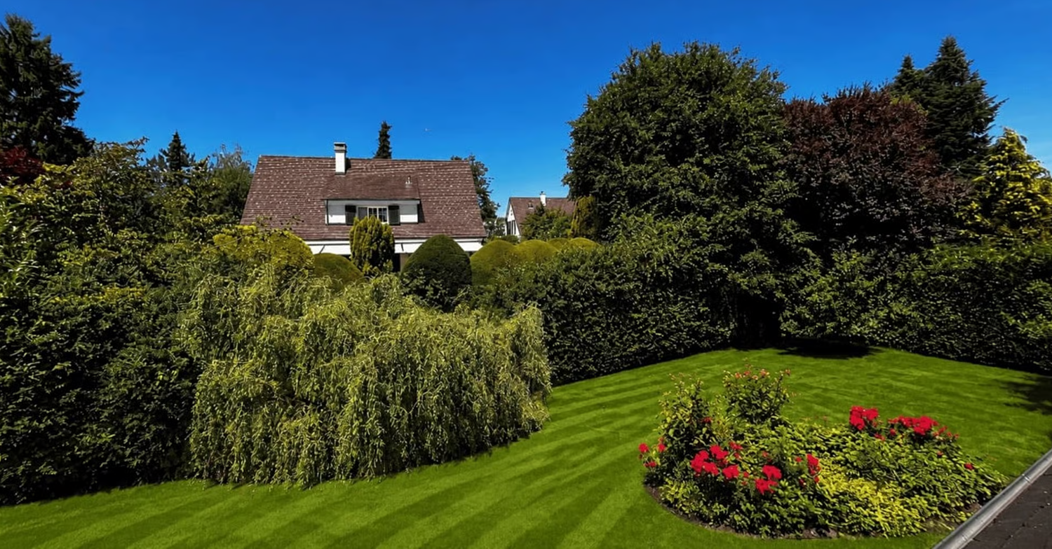 5-Zimmer-Einfamilienhaus