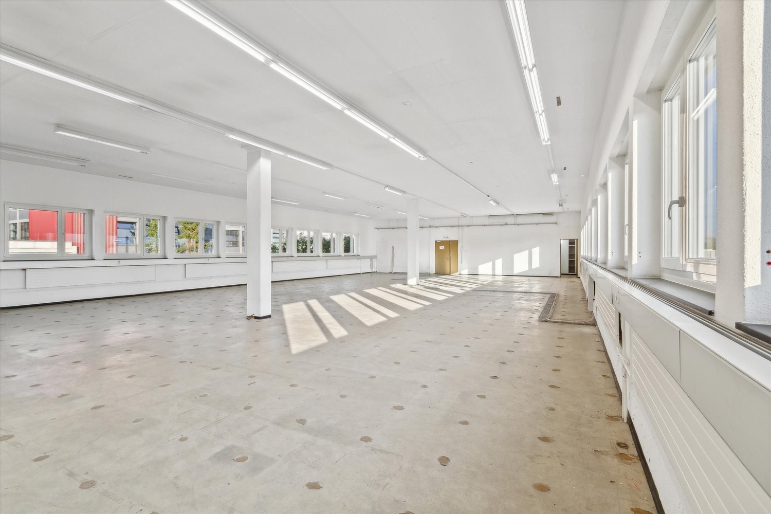 619m² commerciale