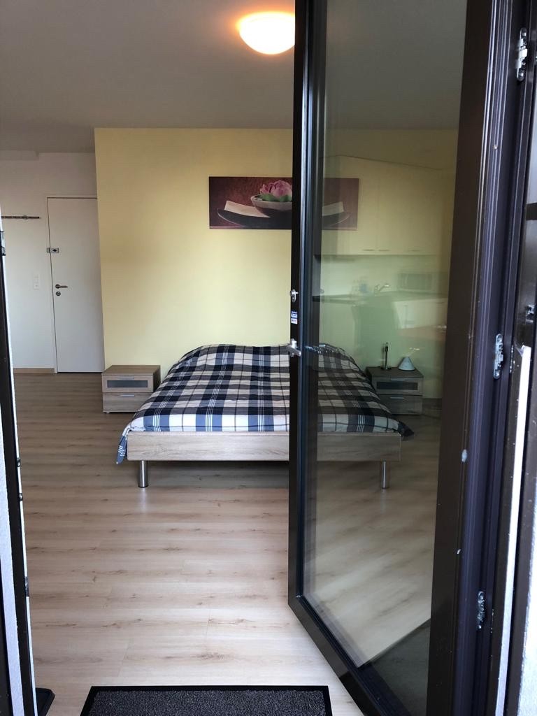 Appartement de 1 ½ pièces