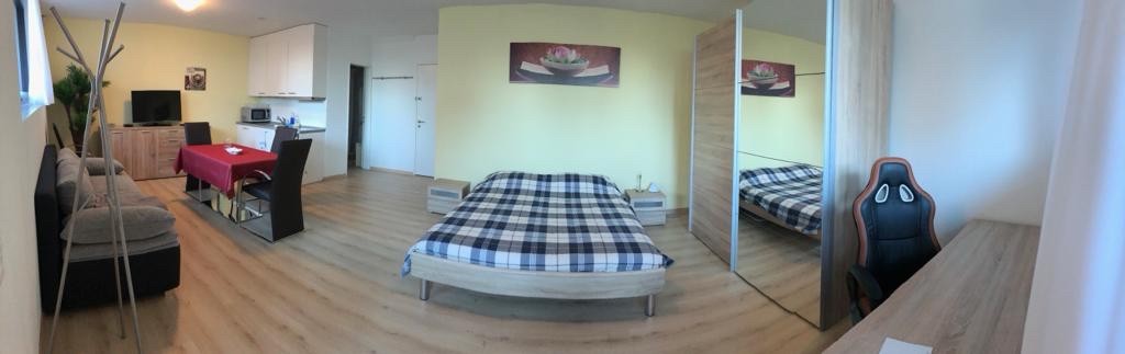 Appartement de 1 ½ pièces