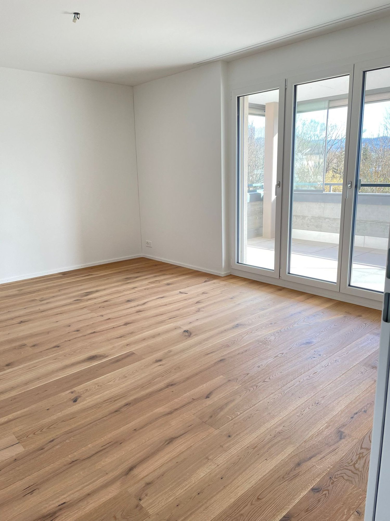 5 ½ rooms apartment