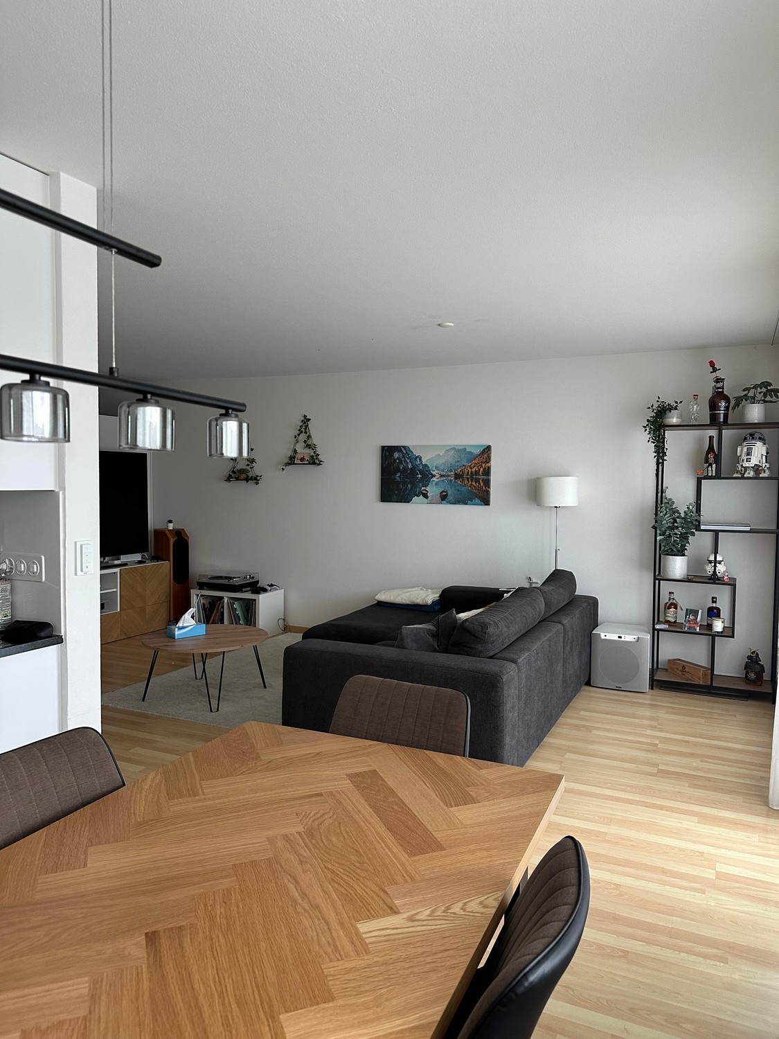 Appartamento di 3 ½ locali