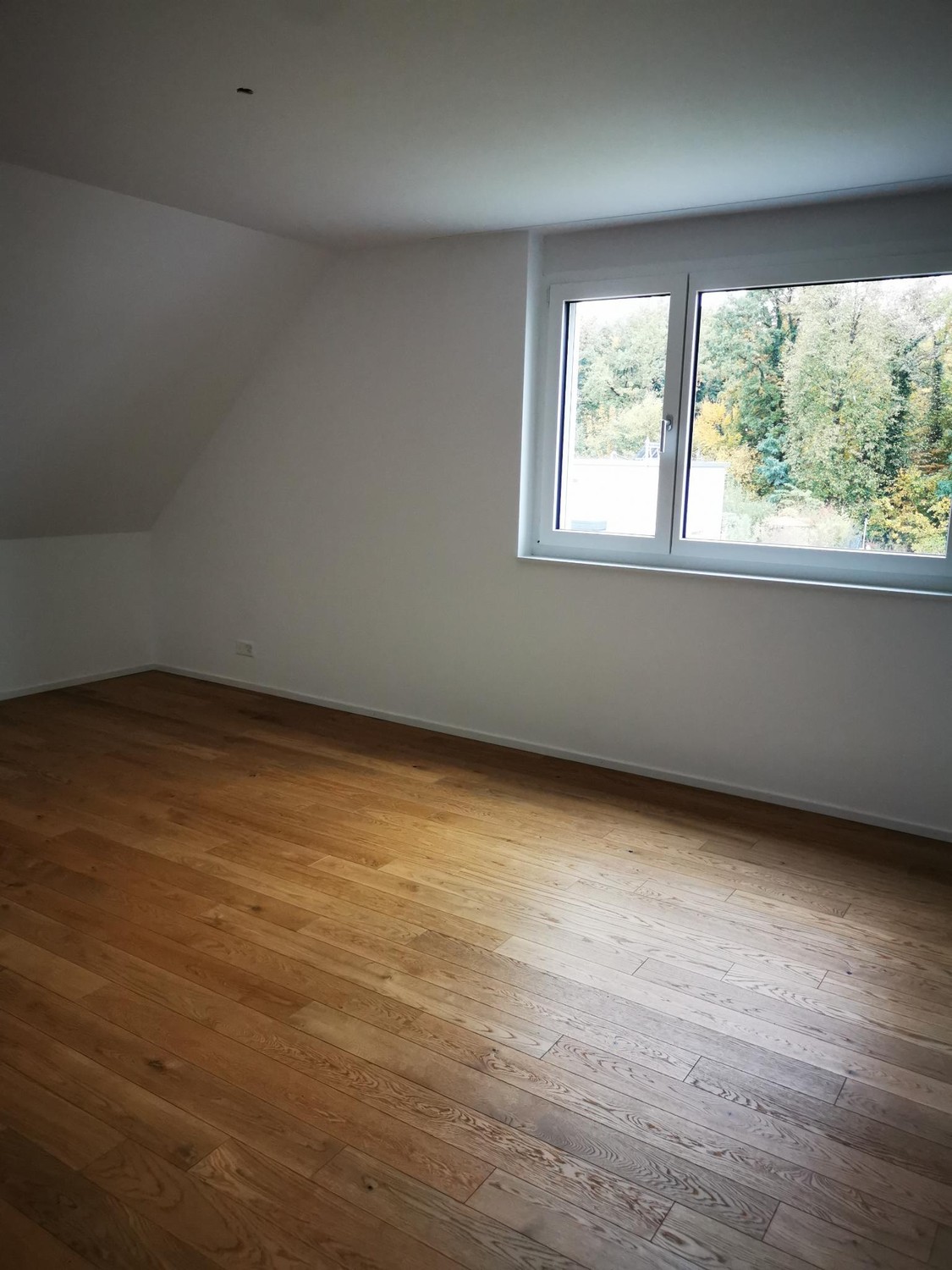 6 ½ rooms apartment
