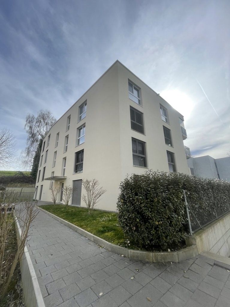 appartamento di 3 locali