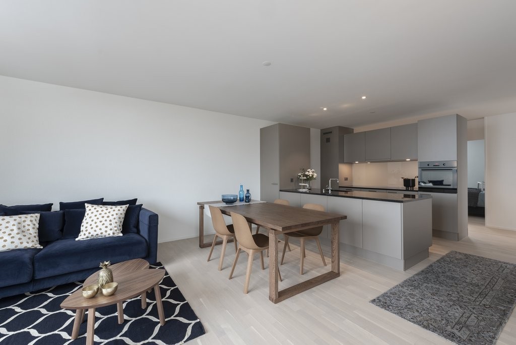 Appartement de 3 ½ pièces