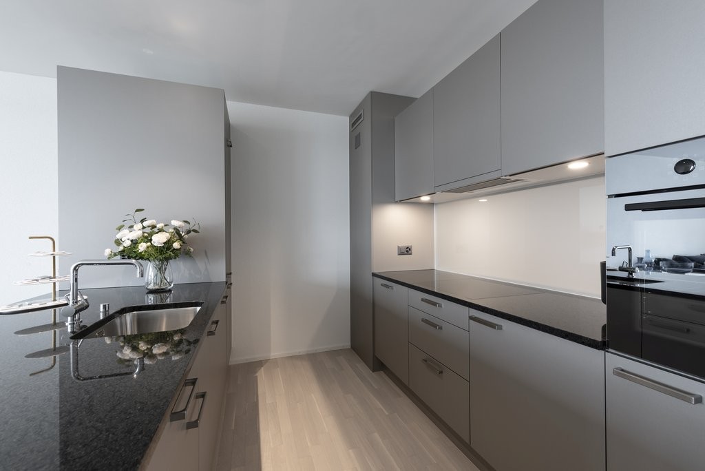 Appartement de 3 ½ pièces