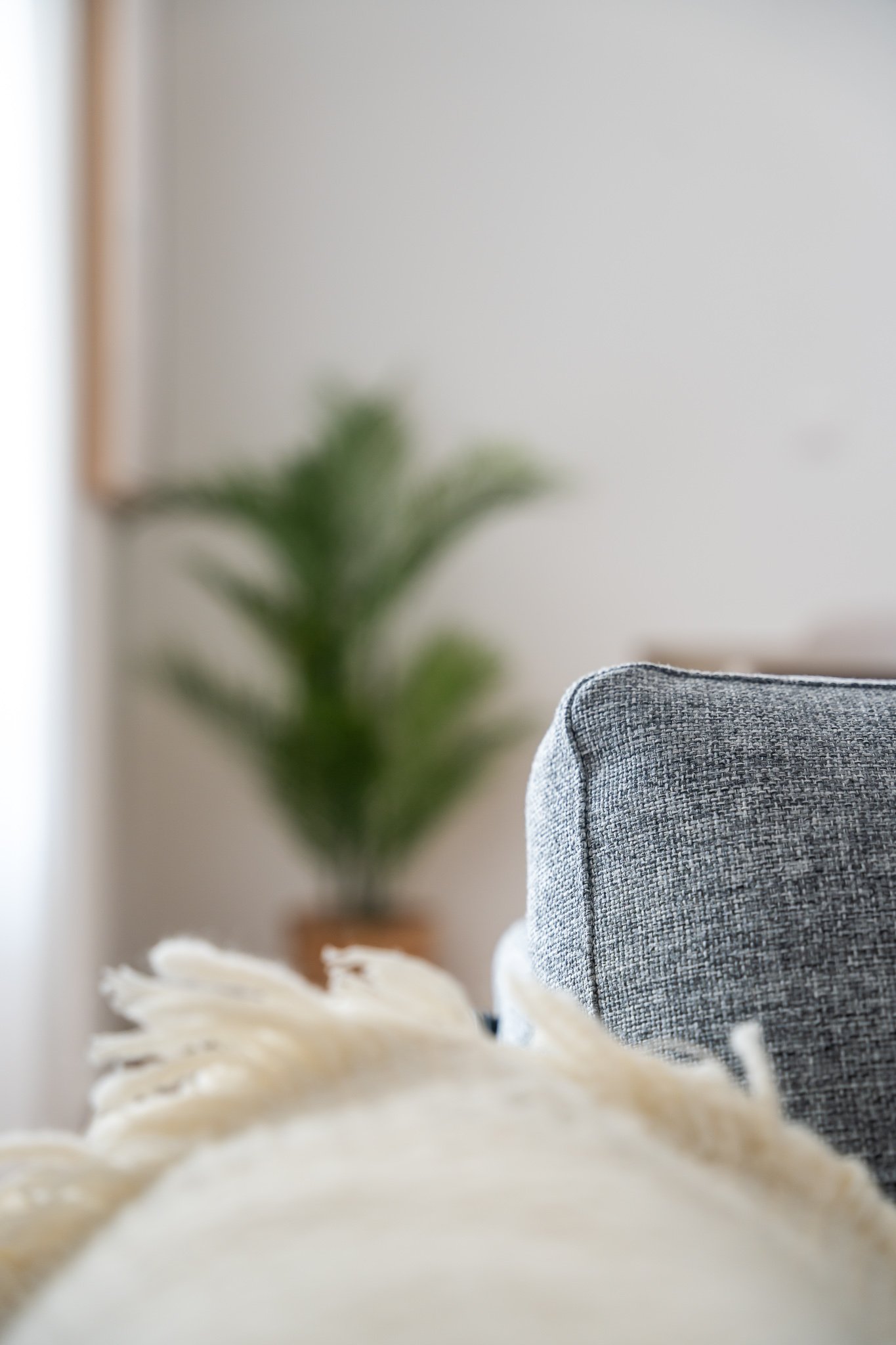 2 ½ pièces appartement meublé