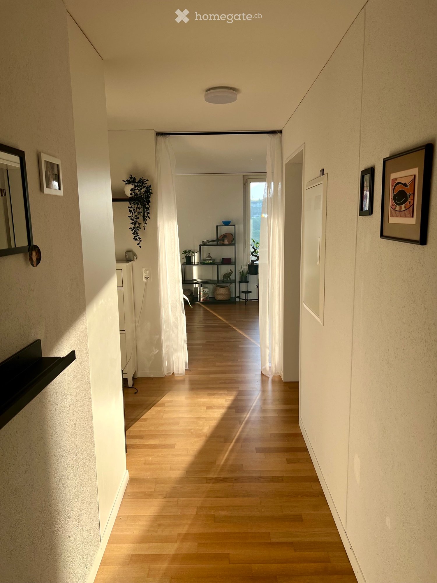 Appartement de 2 ½ pièces