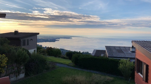appartamento di 1 locale