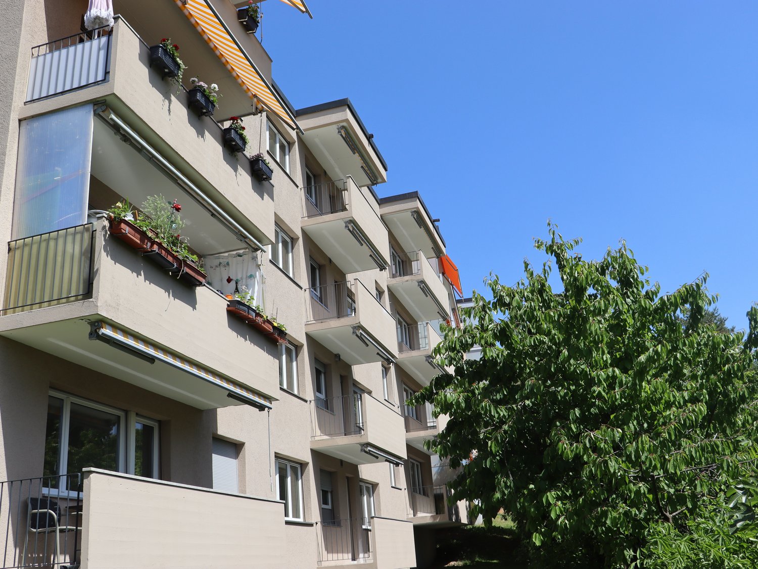 appartamento di 3 ½ locali
