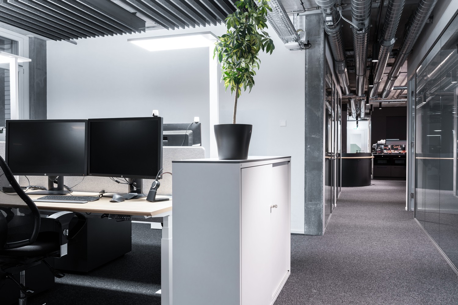 299m² de bureaux