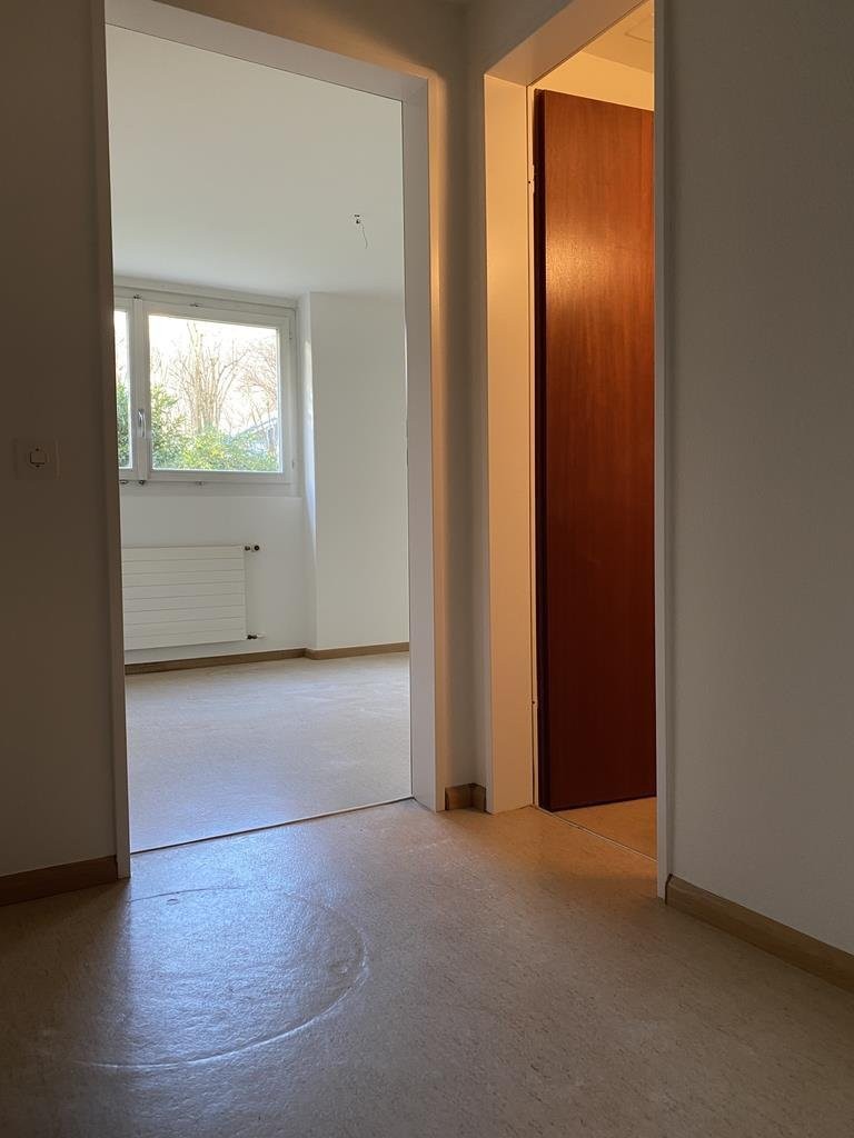 47m² commercial