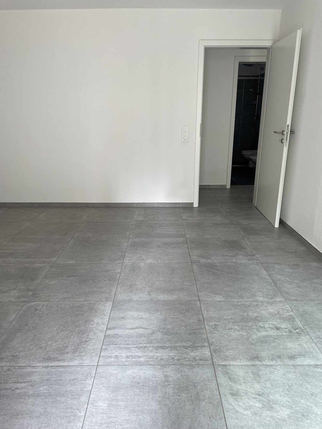 5 ½ rooms apartment