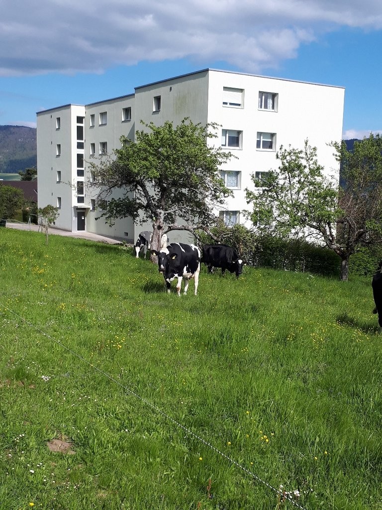Appartamento di 4 locali