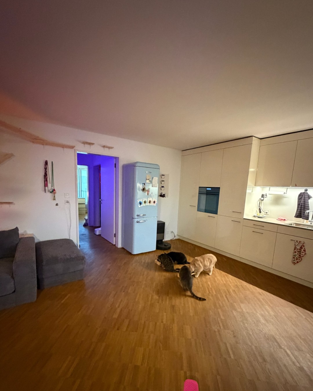 3 ½ rooms apartment