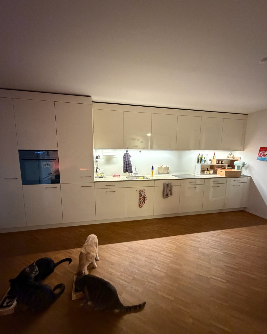 3 ½ rooms apartment