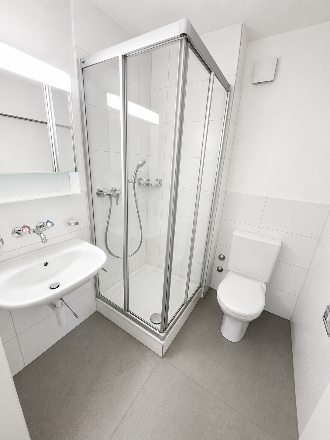 5 ½ room apartment
