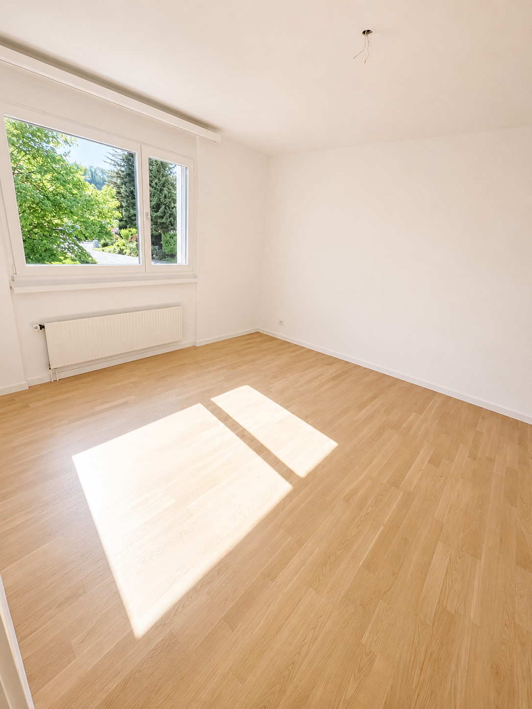 5 ½ room apartment