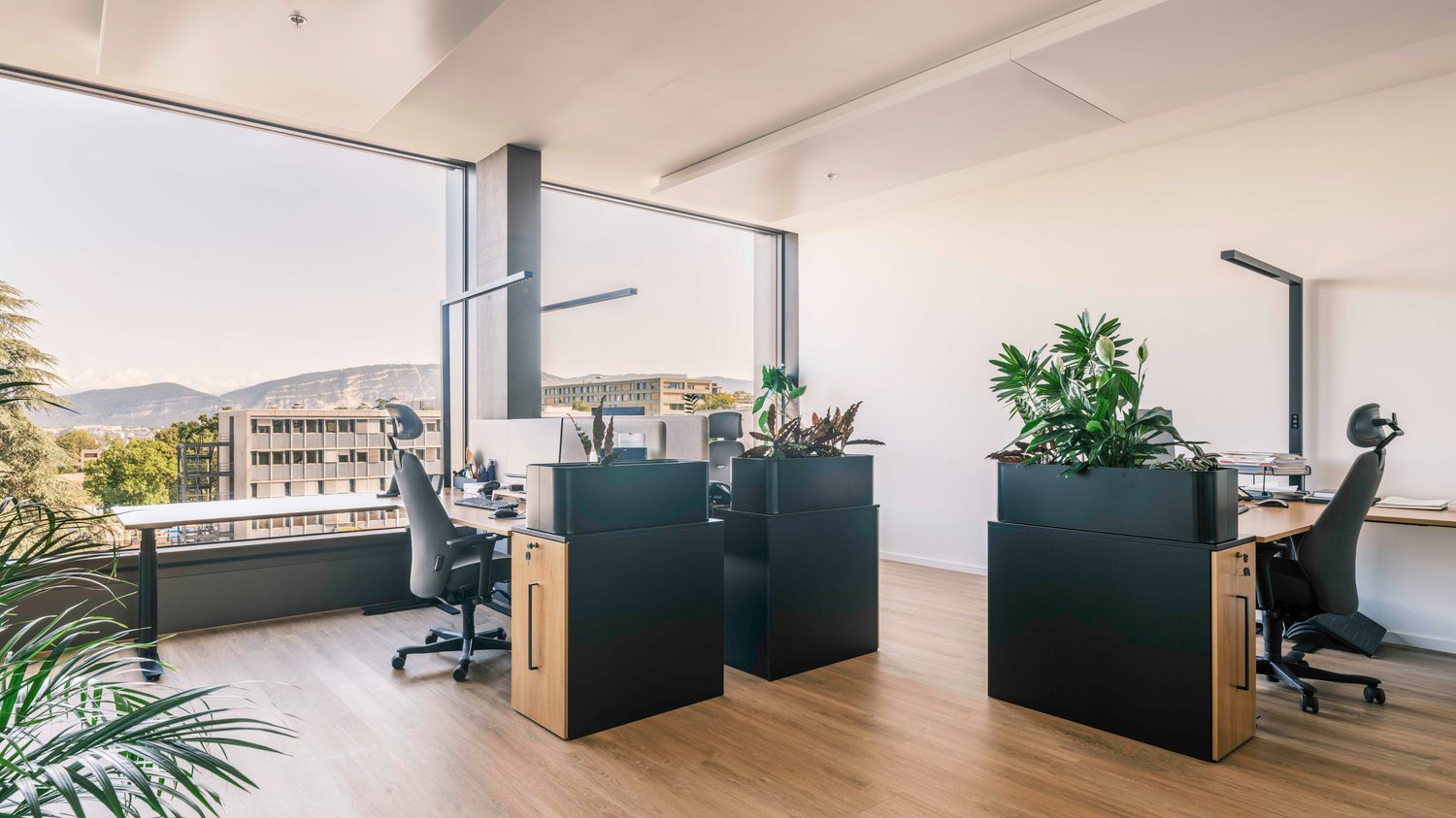 1250m² office