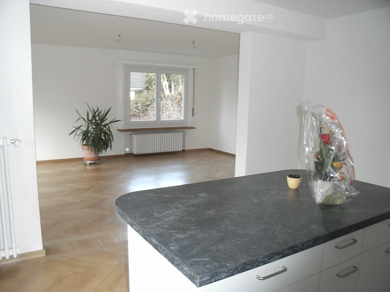 Appartamento di 4 ½ locali