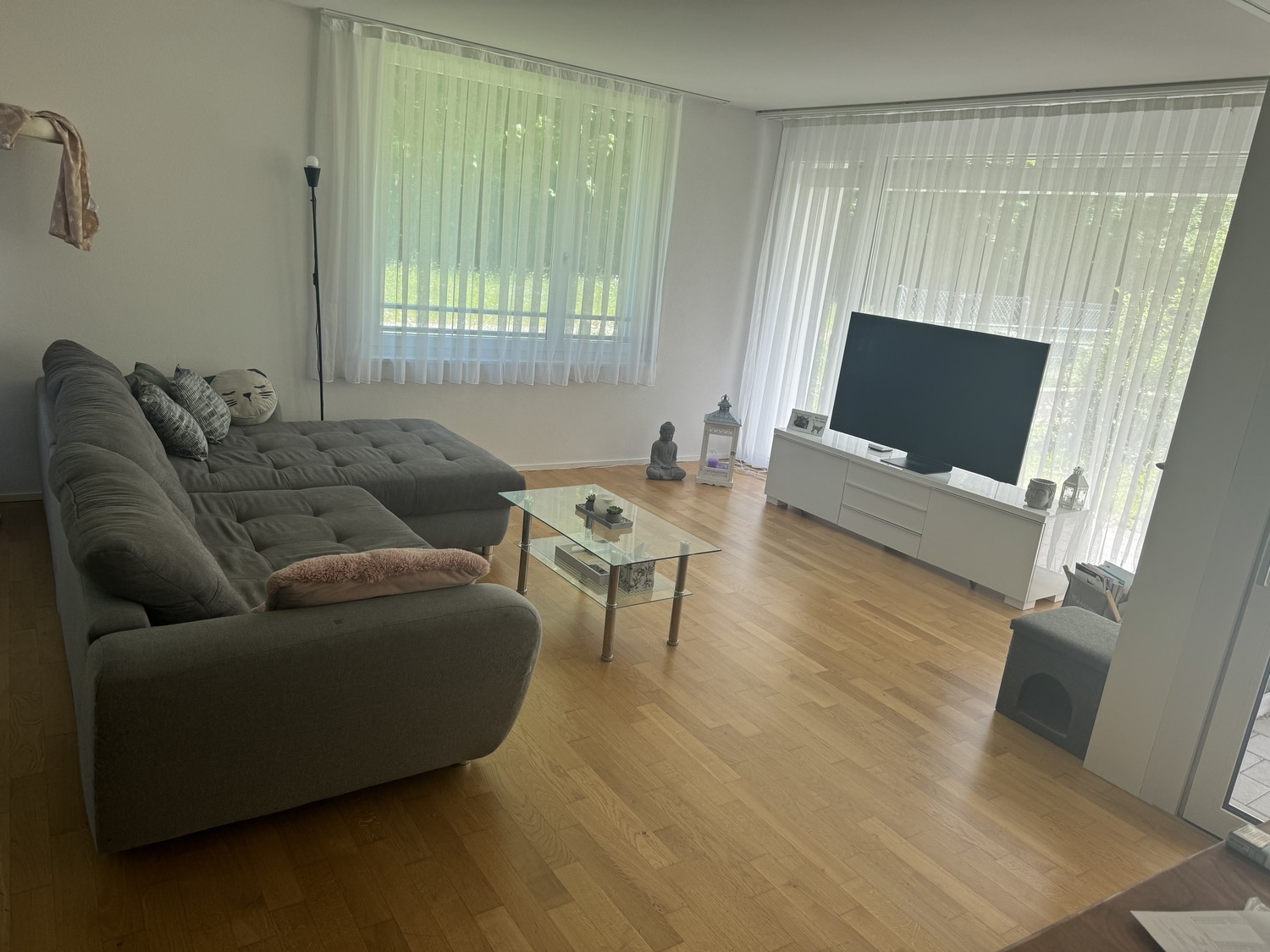 Room in a shared flat