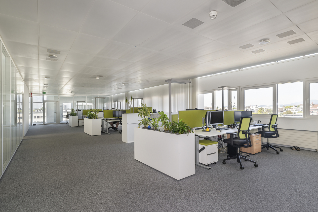 700m² office