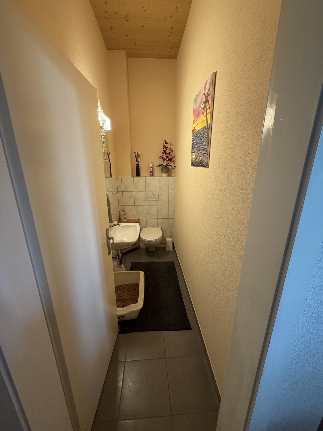 4 ½ rooms apartment