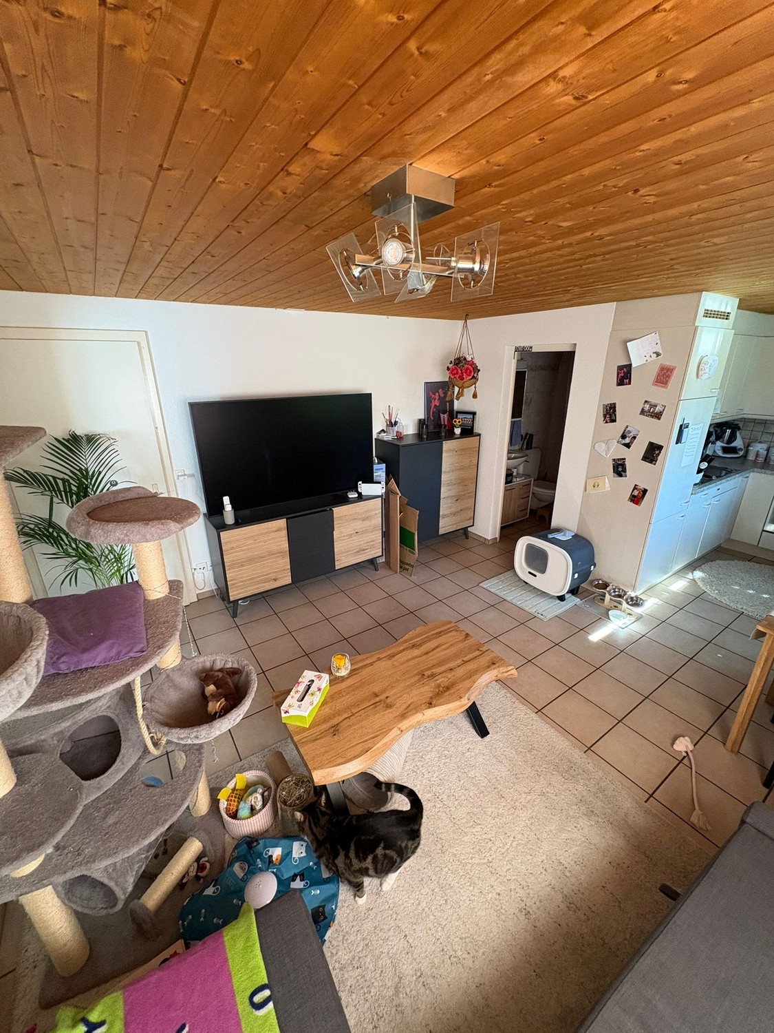 2 ½ rooms apartment