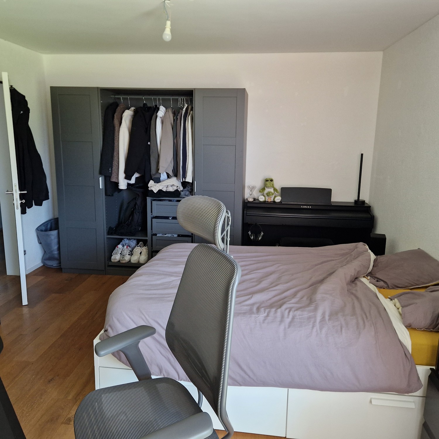 Room in a shared flat