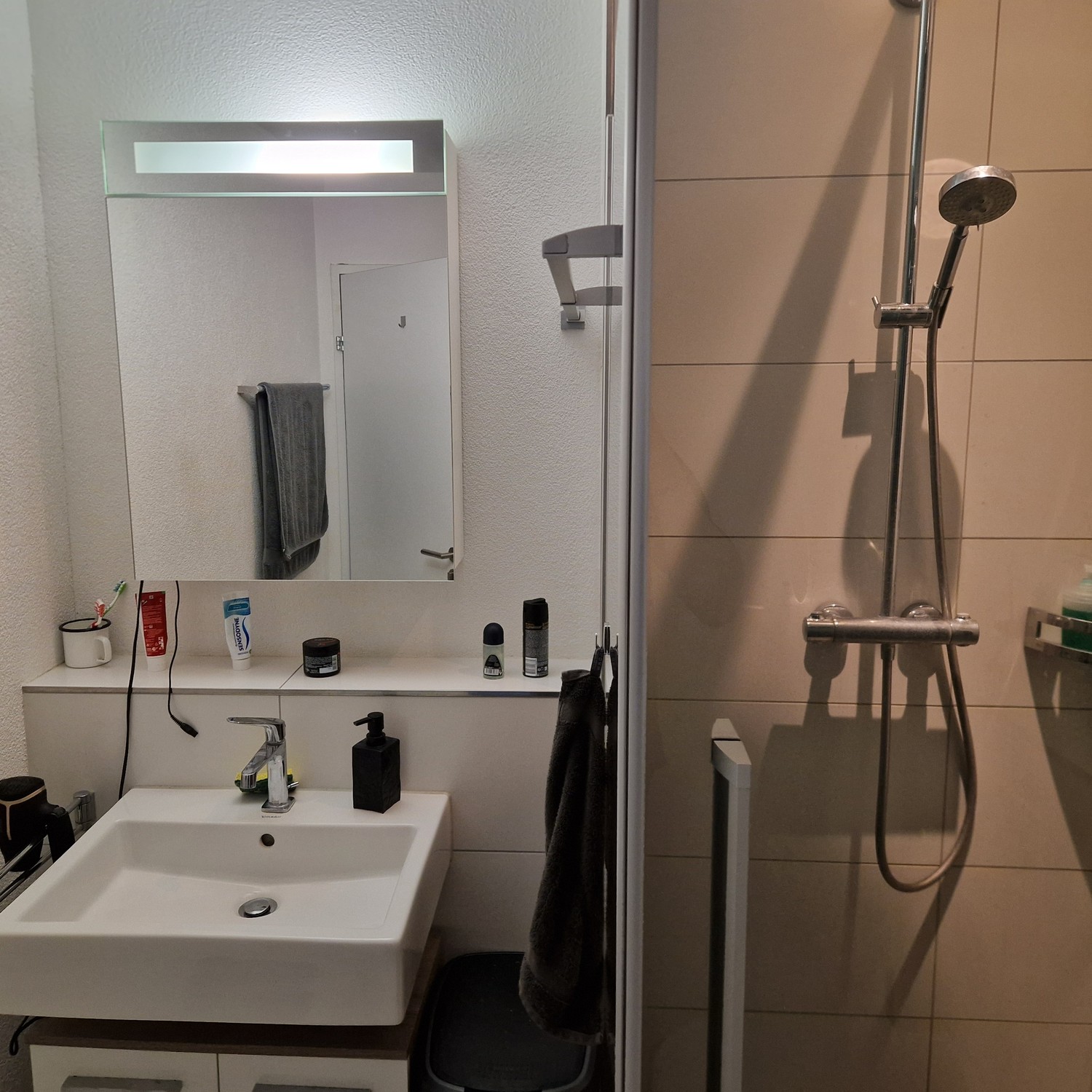 Room in a shared flat