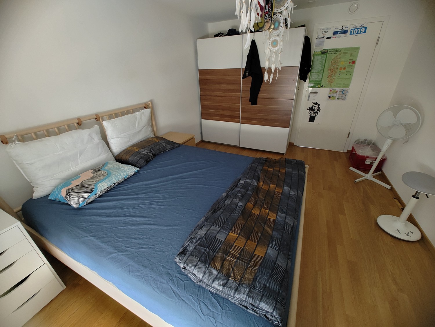 Room in a shared flat