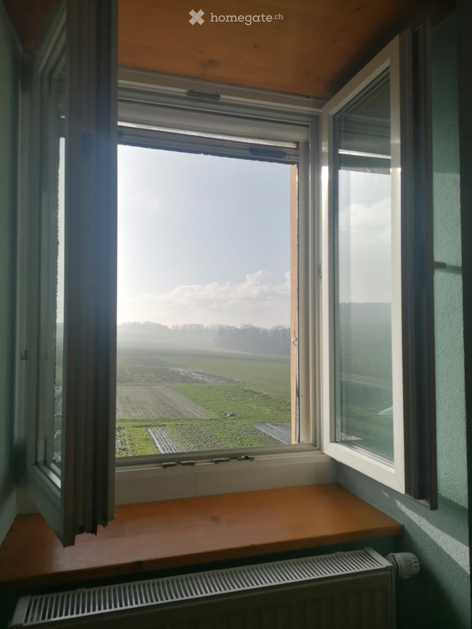1 room single room