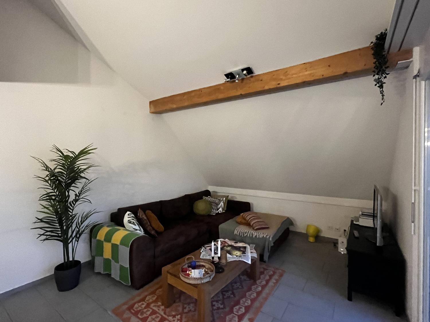 Room in a shared flat
