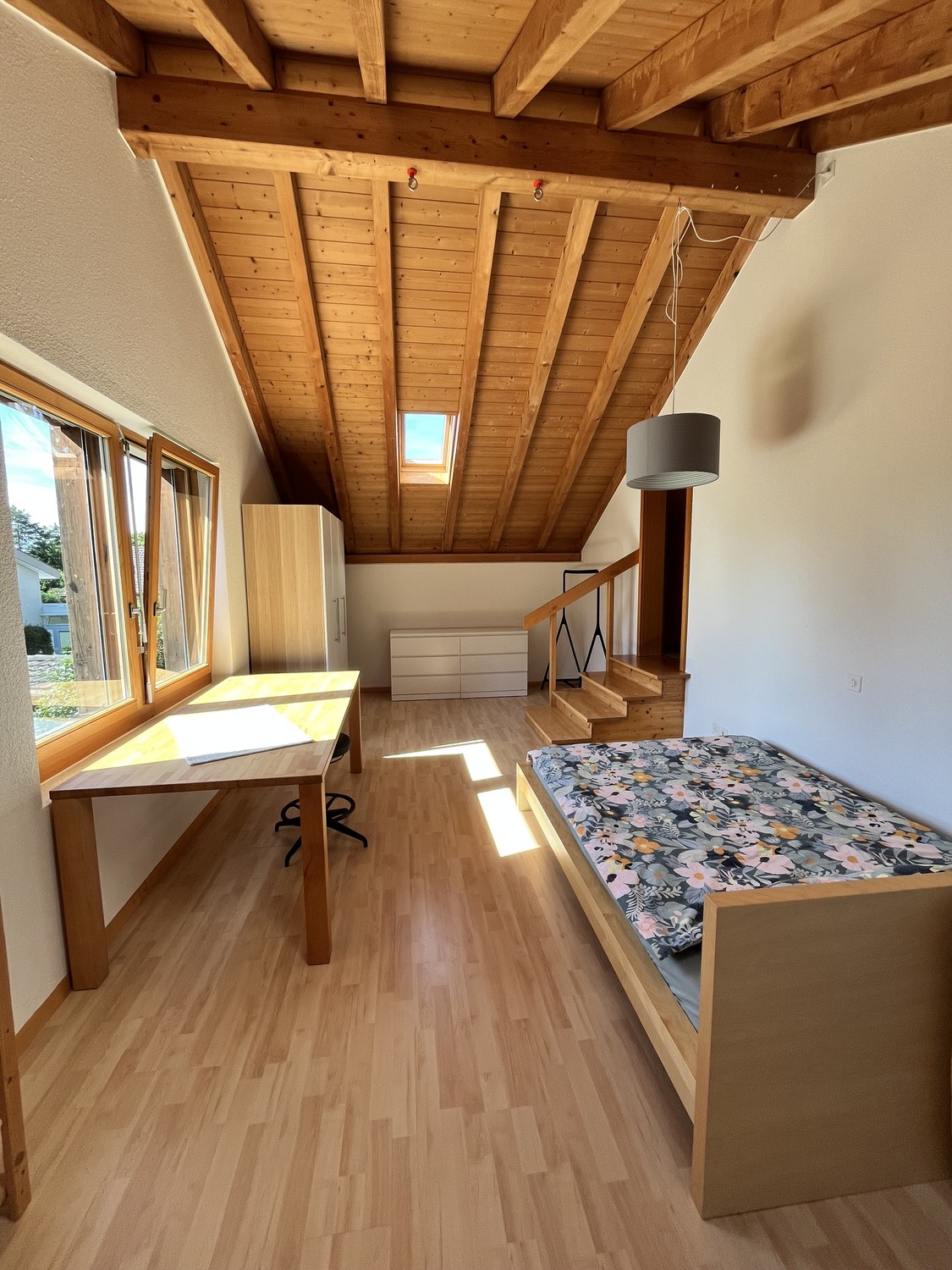 Room in a shared flat