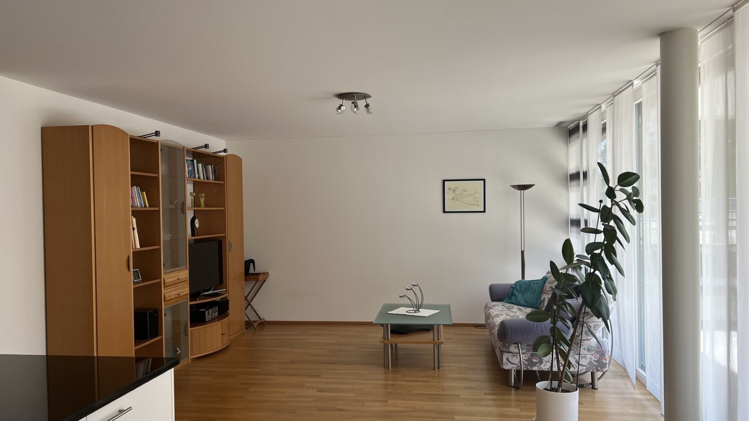 Appartamento di 3 ½ locali