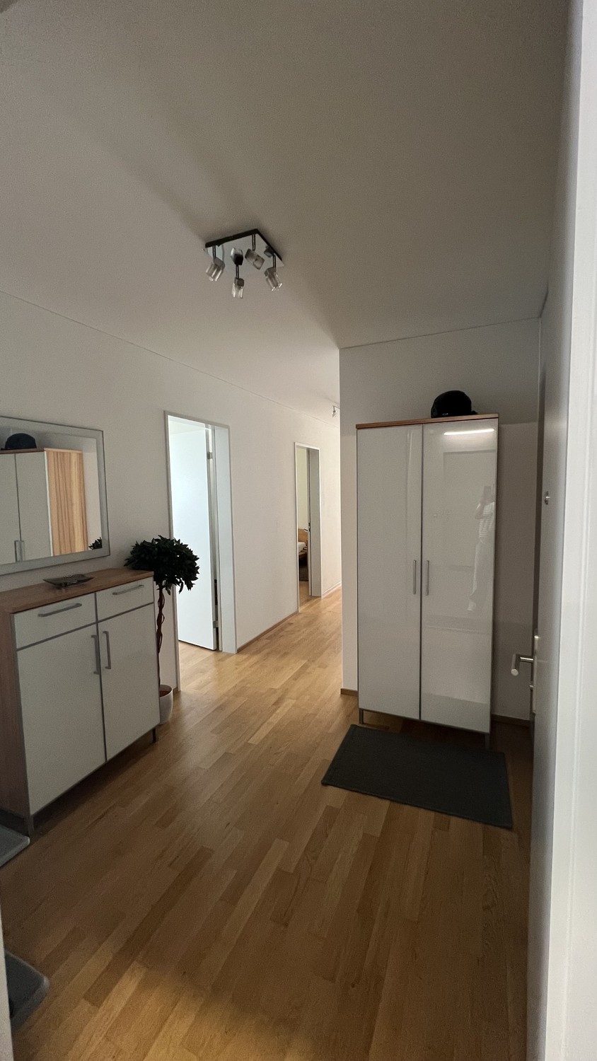 Appartamento di 3 ½ locali
