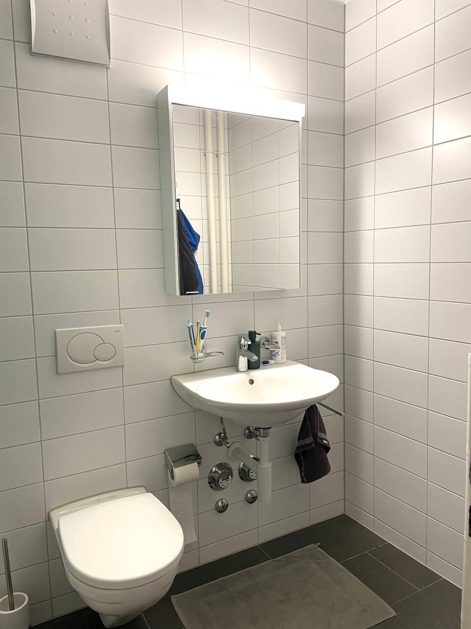 2 ½ rooms apartment