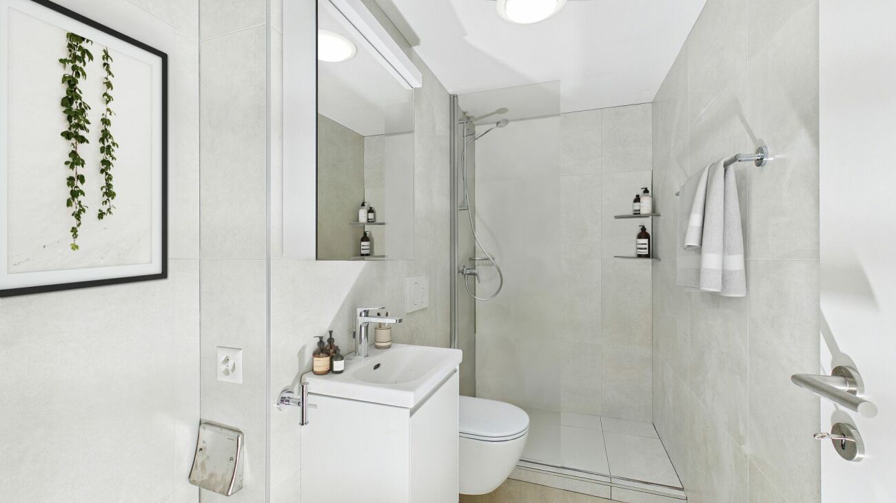2 ½ rooms apartment