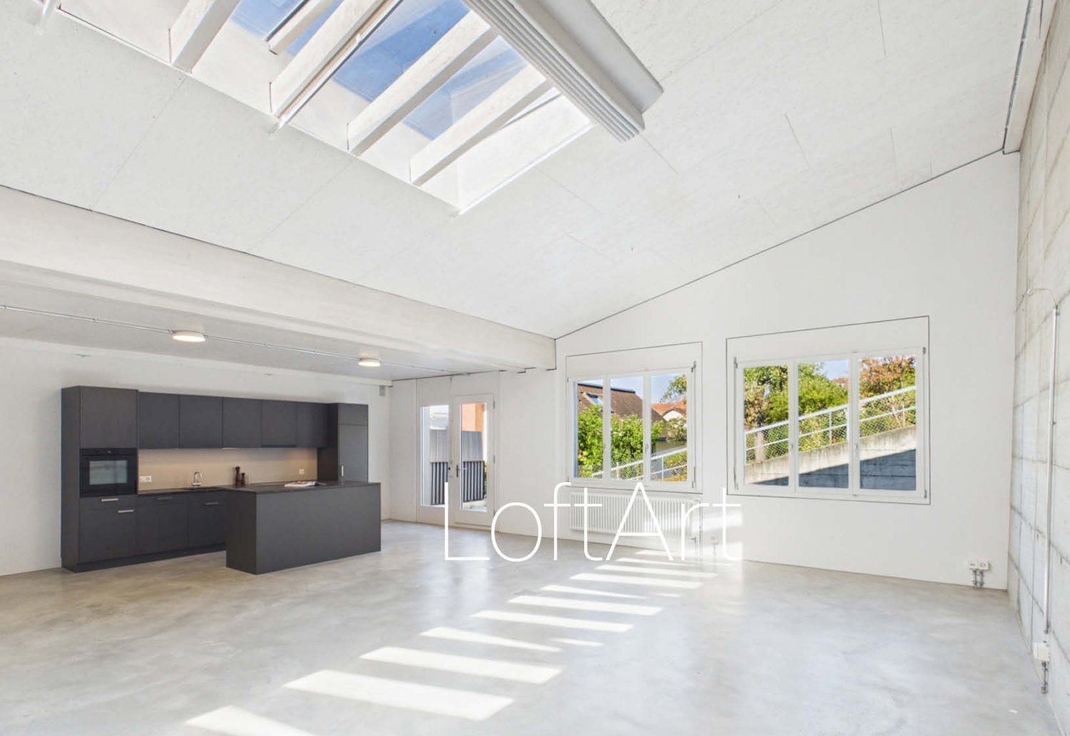 Loft di 3 ½ locali