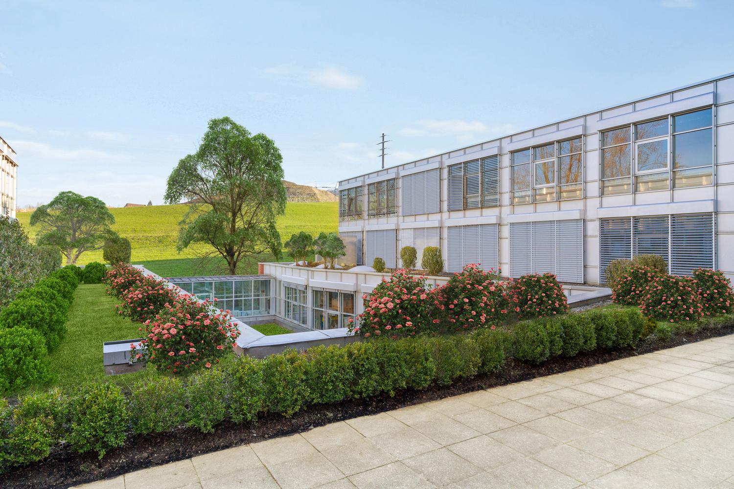1111m² commercial