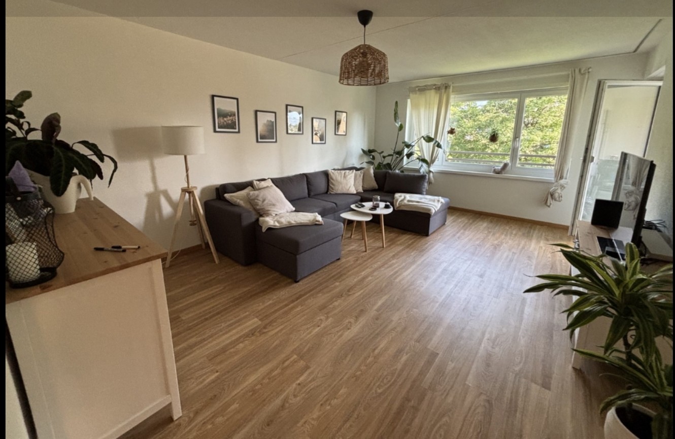Room in a shared flat
