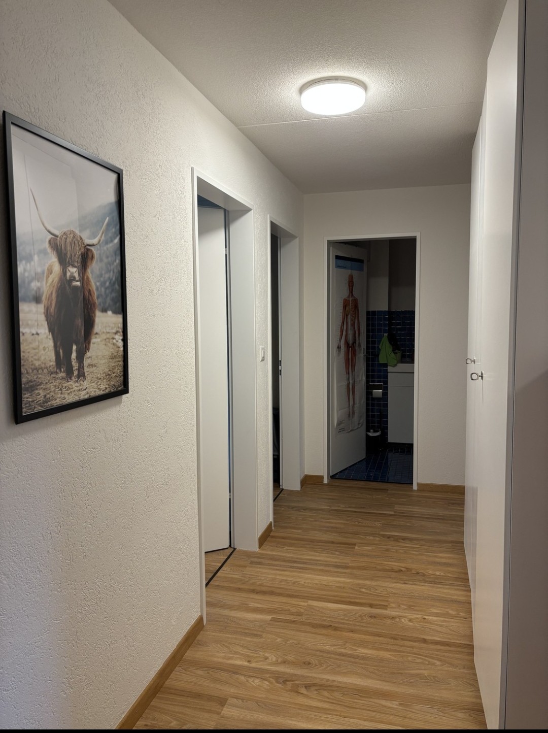 Room in a shared flat