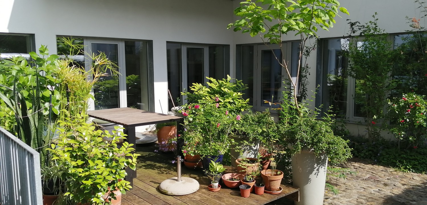 255m² commercial