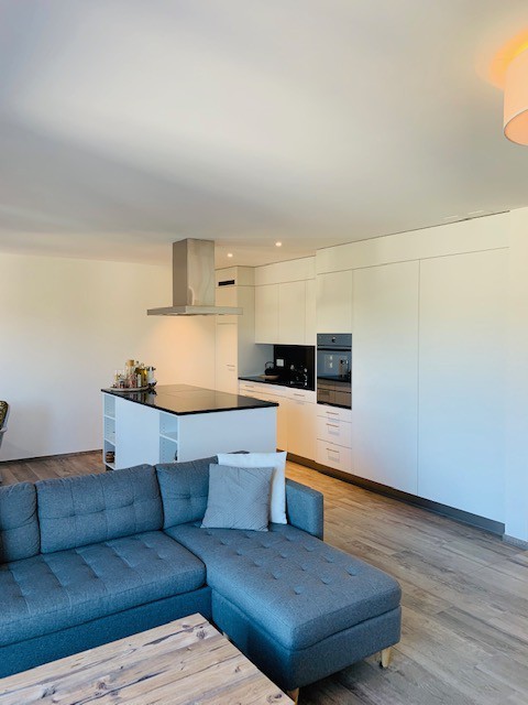 Appartement de 3 ½ pièces