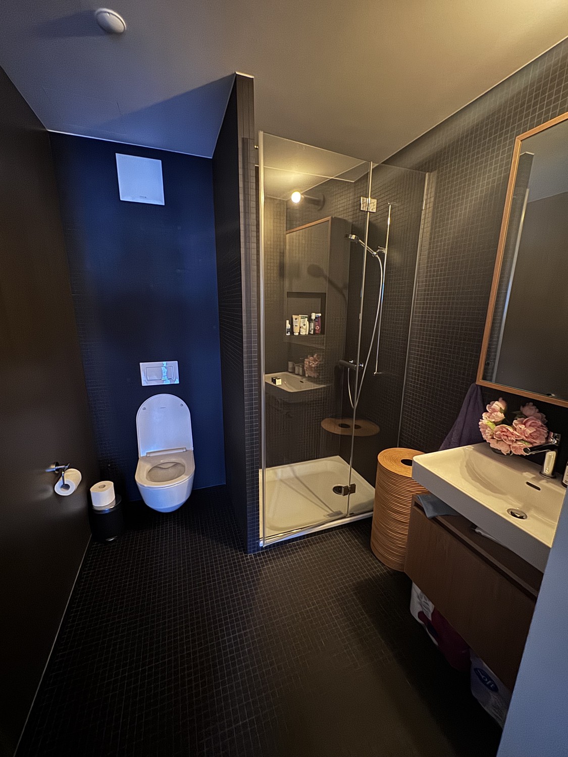 3 ½ Zimmer Wohnung
