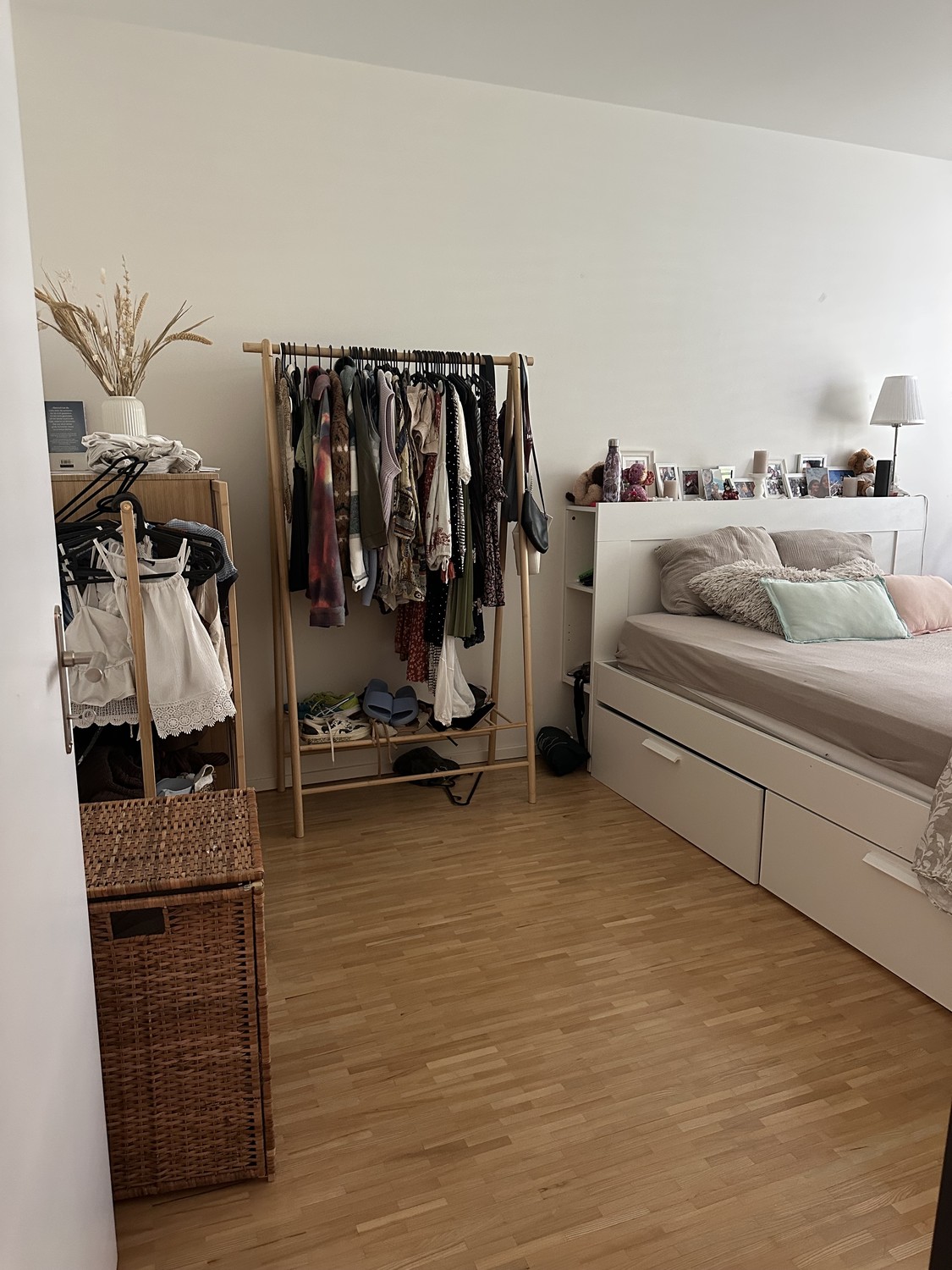 Room in a shared flat