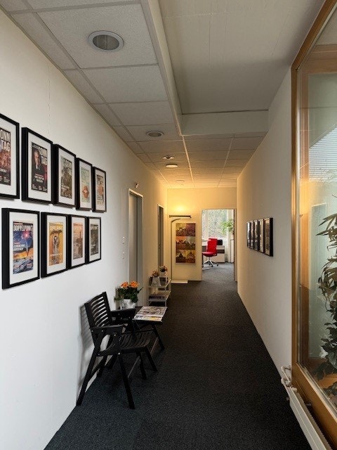 306m² commerciale