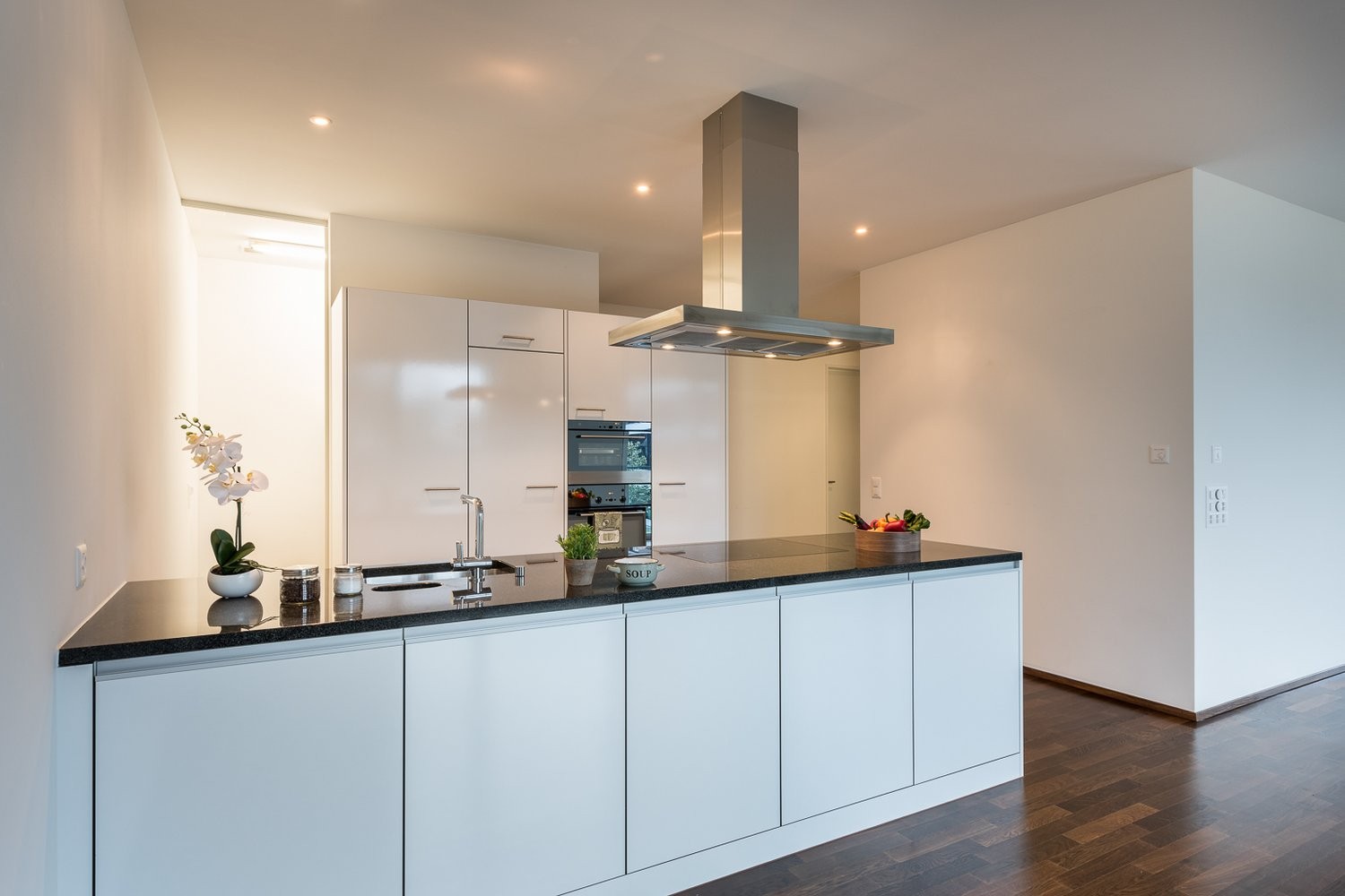 Appartement de 3 ½ pièces