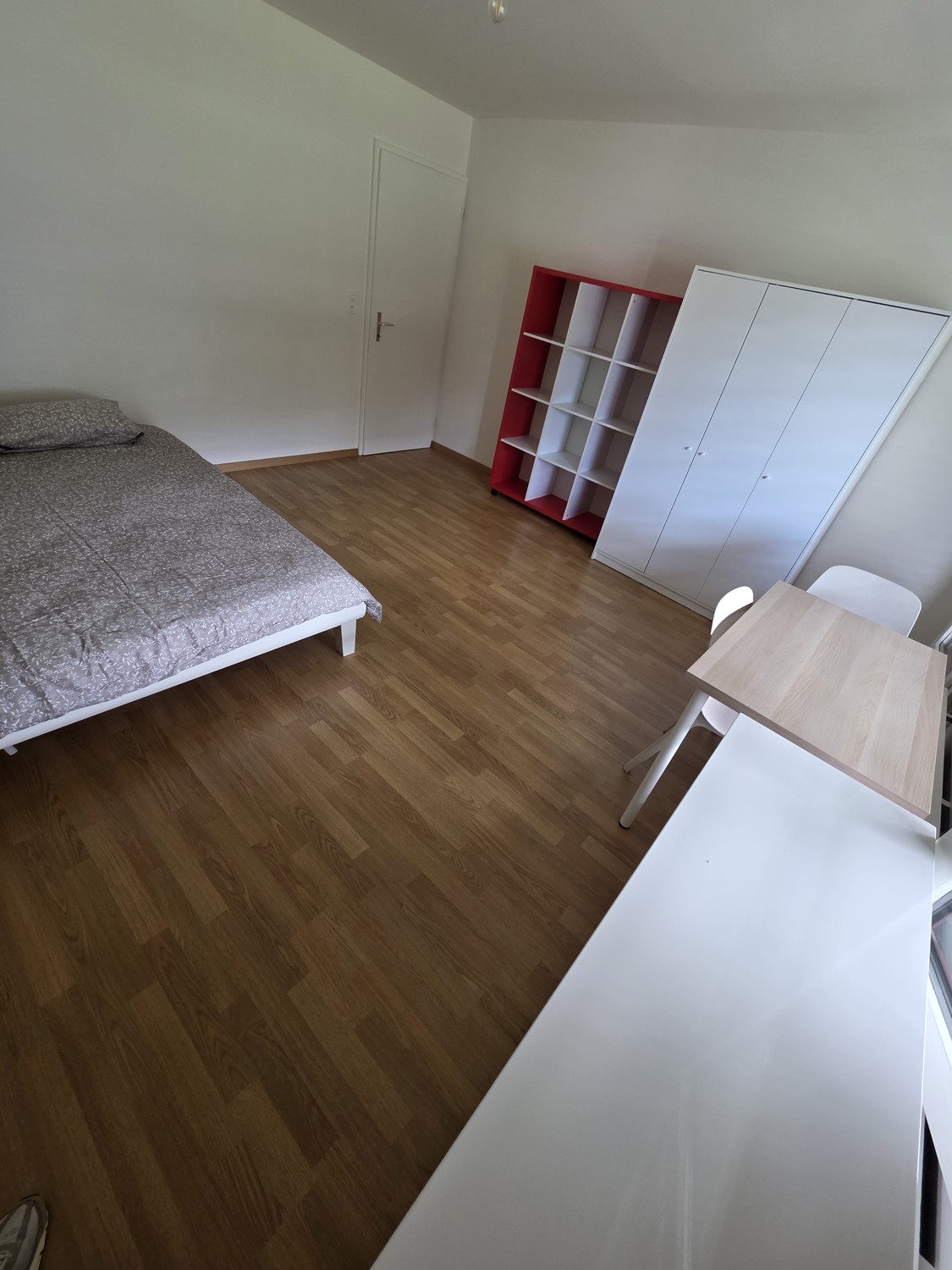 Stanze in appartamento condiviso