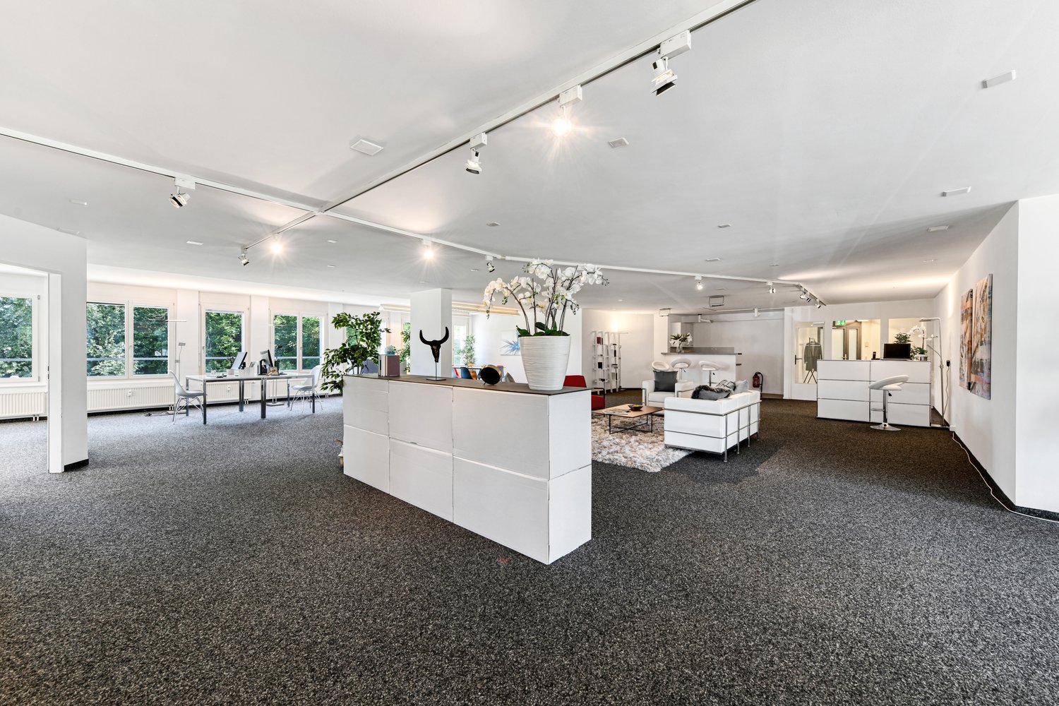 247m² office